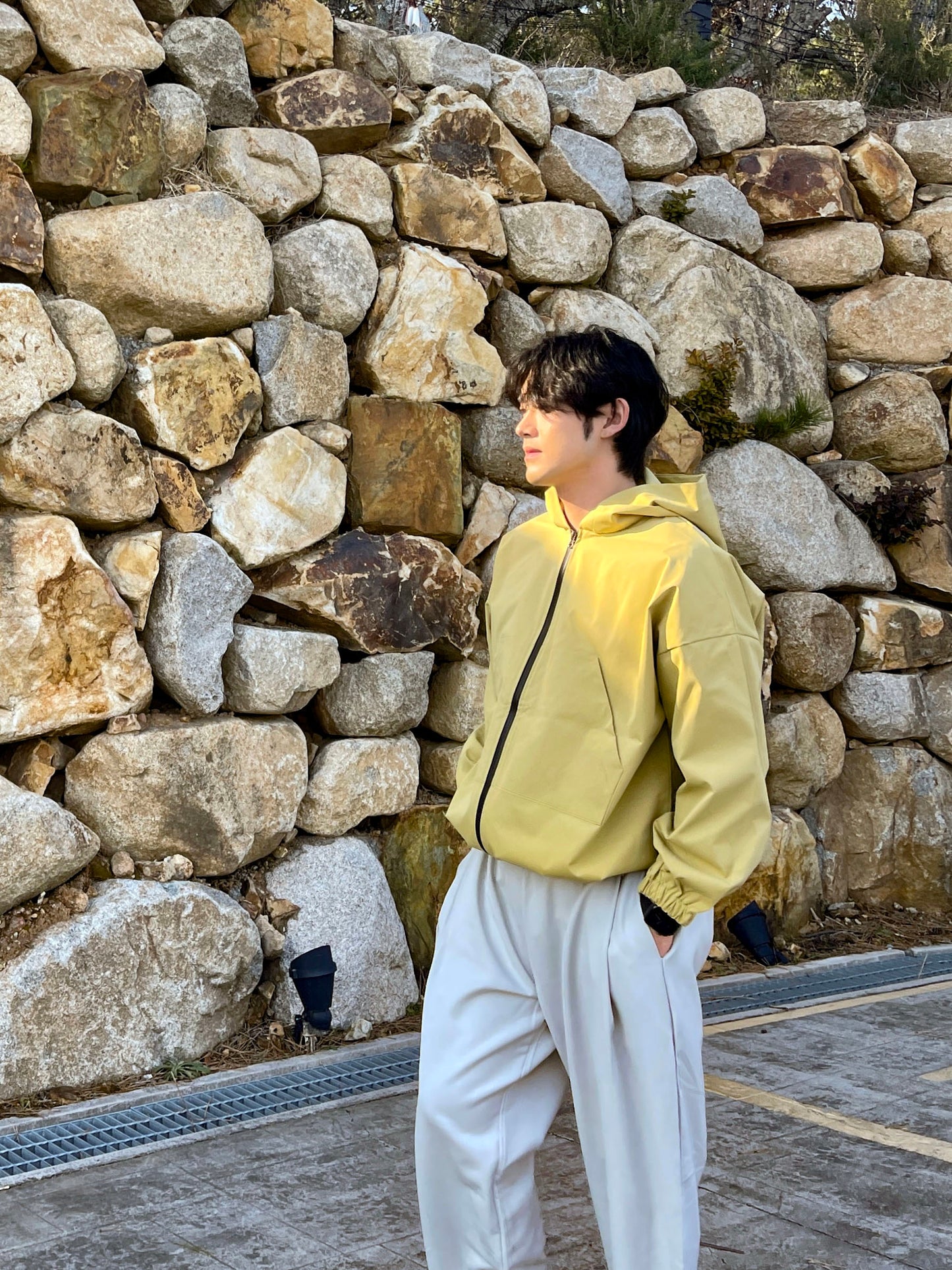 Hoodie Windbreaker Jk (3color)