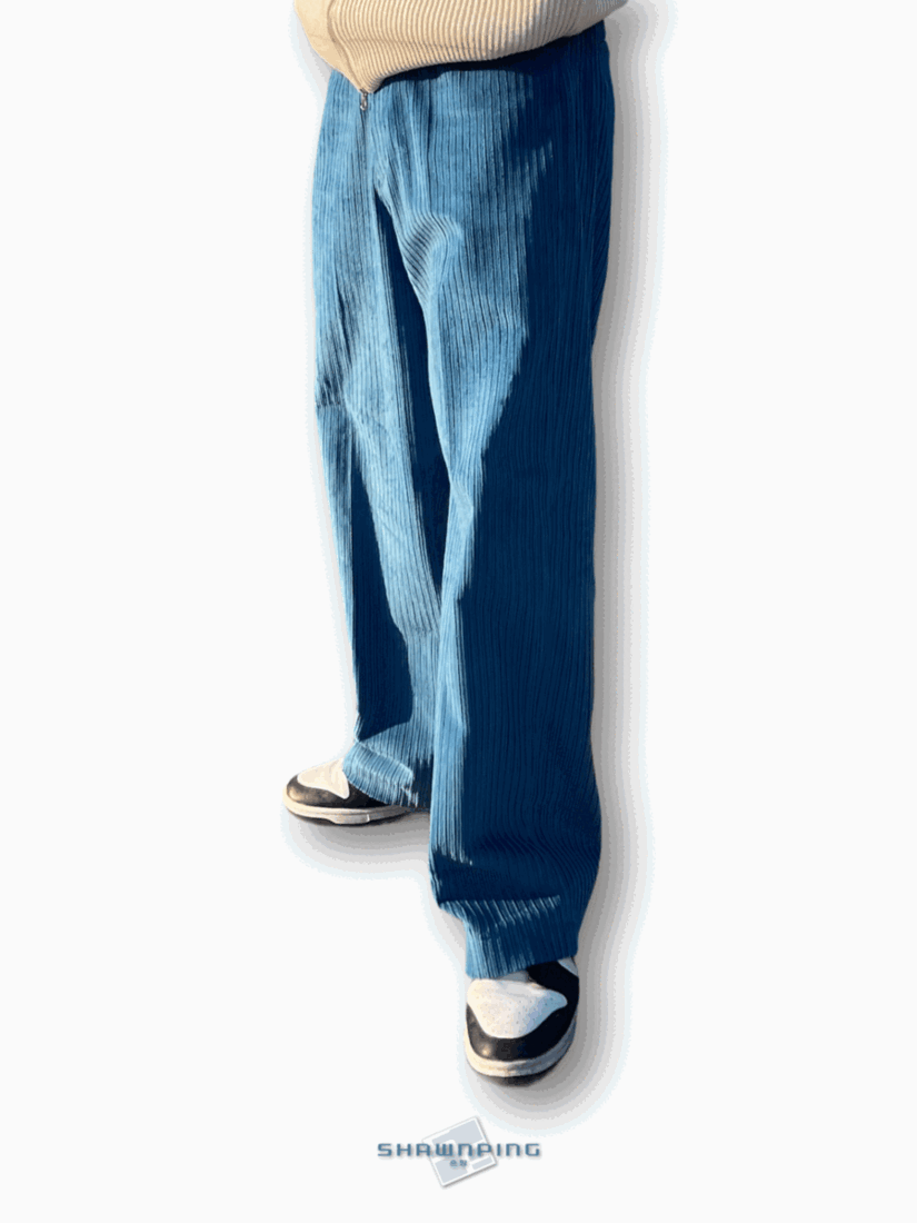 와이드 코듀로이 팬츠 골덴바지 블루 Wide Corduroy Pants